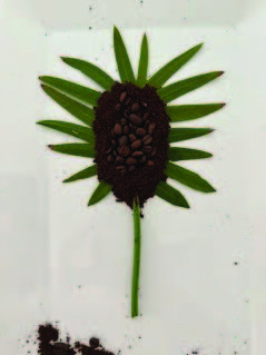 Maxim Organics — process shot 3